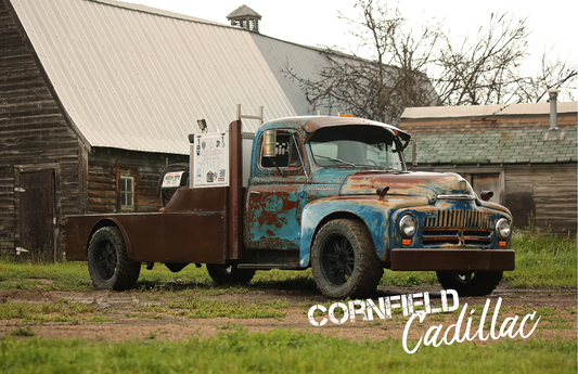 Cornfield Cadillac by Miranda Kurpe