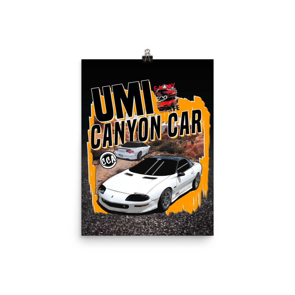 12x16 UMI Canyon Car Poster